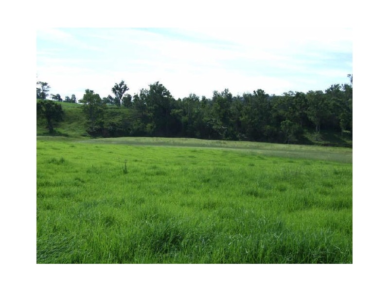 505 Wandella Road, Cobargo NSW 2550