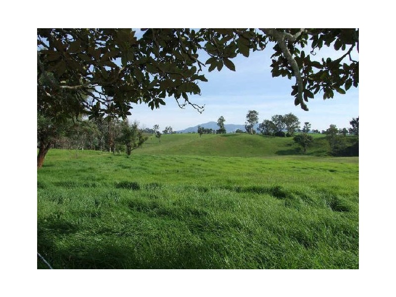 505 Wandella Road, Cobargo NSW 2550