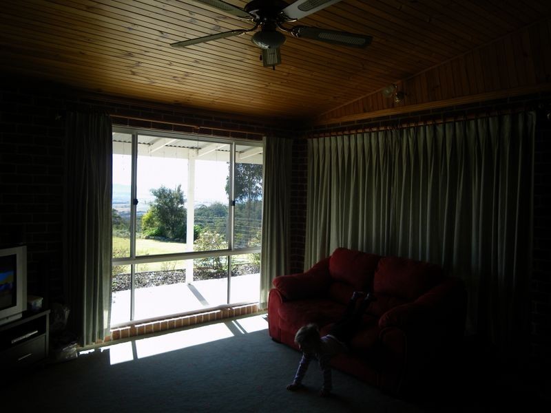 133 Radium Ridge Road, Candelo NSW 2550