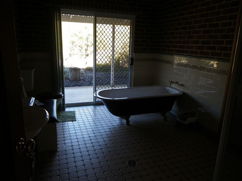 133 Radium Ridge Road, Candelo NSW 2550