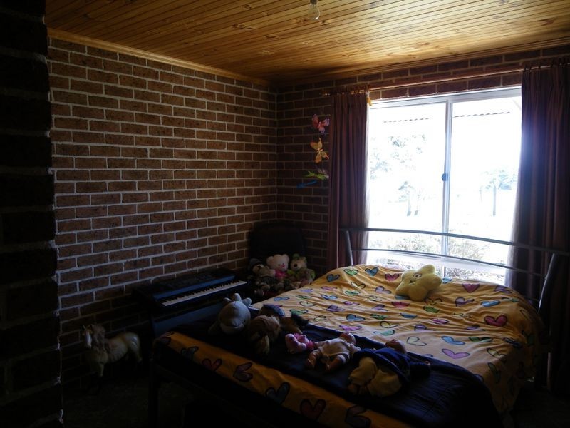 133 Radium Ridge Road, Candelo NSW 2550