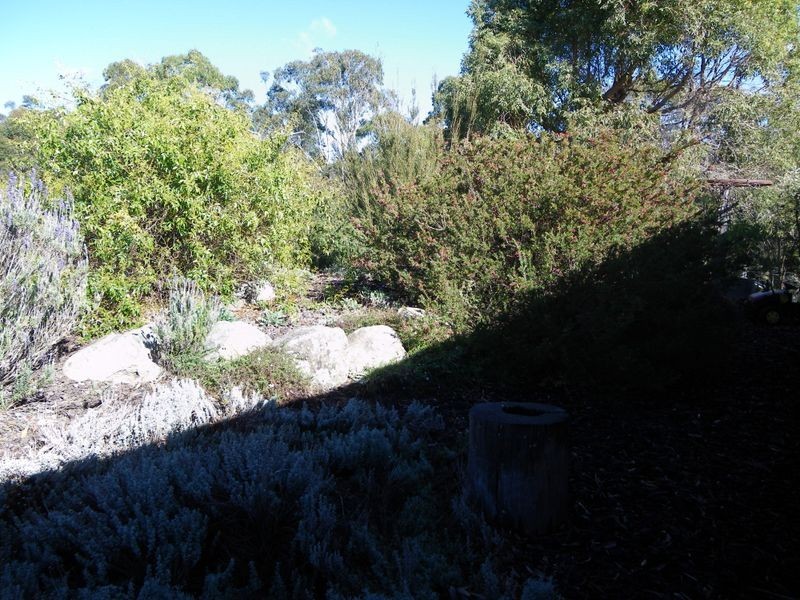 133 Radium Ridge Road, Candelo NSW 2550