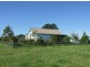 Cobargo NSW 2550