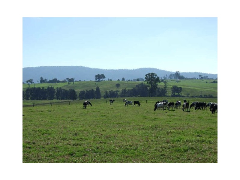 Cobargo NSW 2550