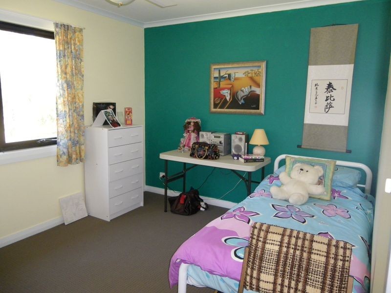 313 Reedy Swamp Road, Tarraganda NSW 2550