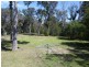 313 Reedy Swamp Road, Tarraganda NSW 2550