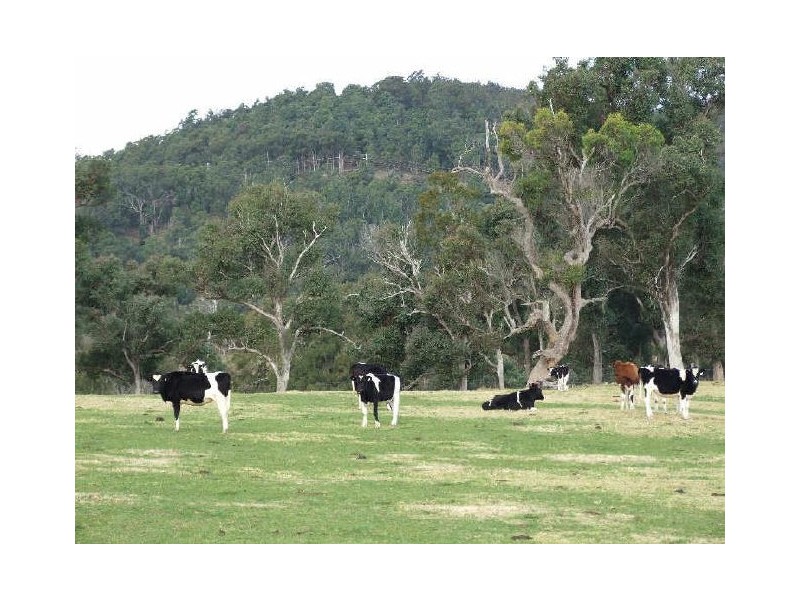 “Belmont Park”/ Wandella Road, Cobargo NSW 2550