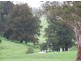 “Belmont Park”/ Wandella Road, Cobargo NSW 2550