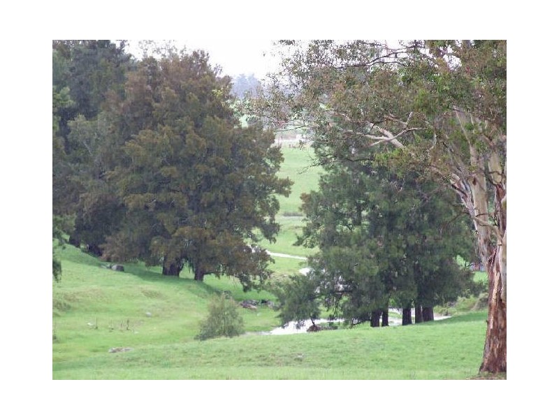 “Belmont Park”/ Wandella Road, Cobargo NSW 2550