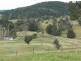 “Belmont Park”/ Wandella Road, Cobargo NSW 2550