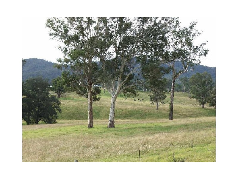 “Belmont Park”/77 Wandella Road, Cobargo NSW 2550