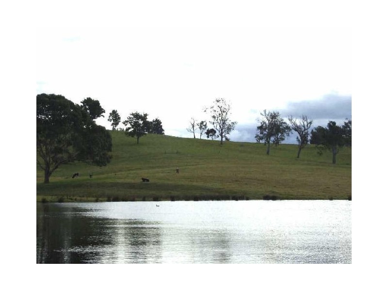 “Belmont Park”/77 Wandella Road, Cobargo NSW 2550