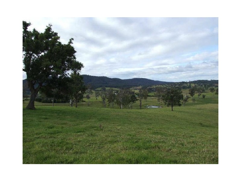 “Belmont Park”/77 Wandella Road, Cobargo NSW 2550