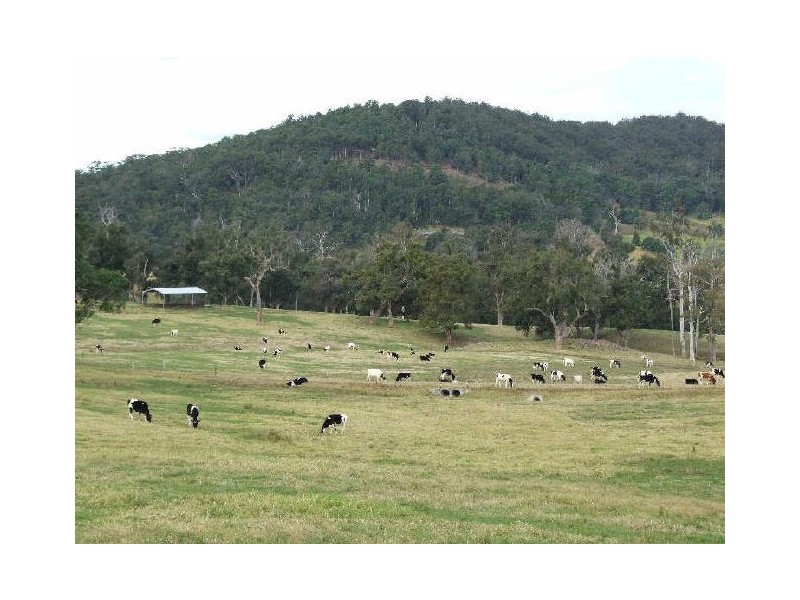 “Belmont Park”/77 Wandella Road, Cobargo NSW 2550