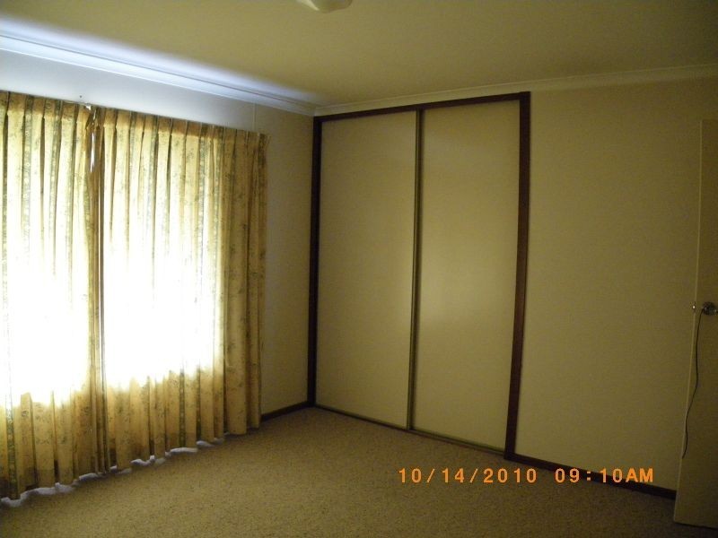 62 Tarlintons Lane, Candelo NSW 2550