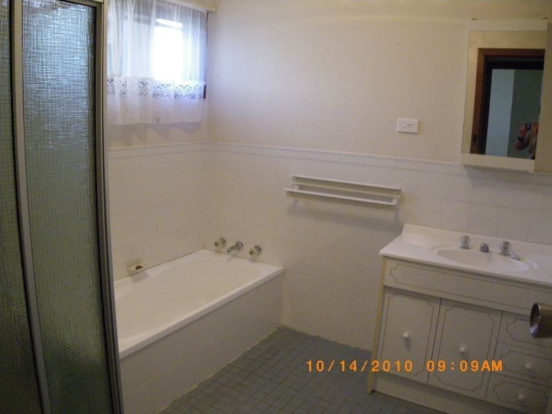 62 Tarlintons Lane, Candelo NSW 2550