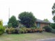 Bega NSW 2550