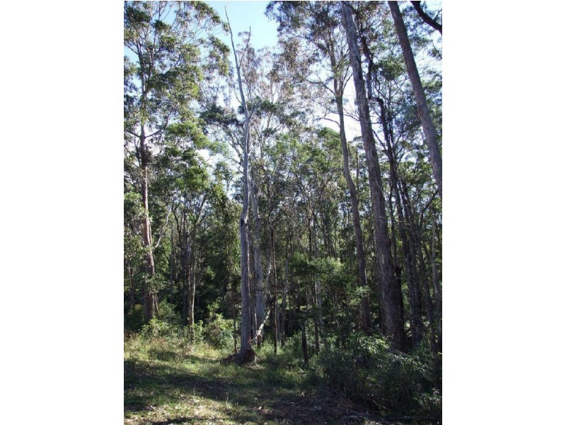 243 Christophers Road, Quaama NSW 2550