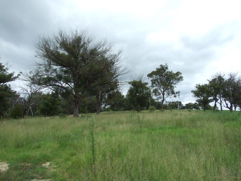 Lot 1 Rosedale Lane, Angledale NSW 2550