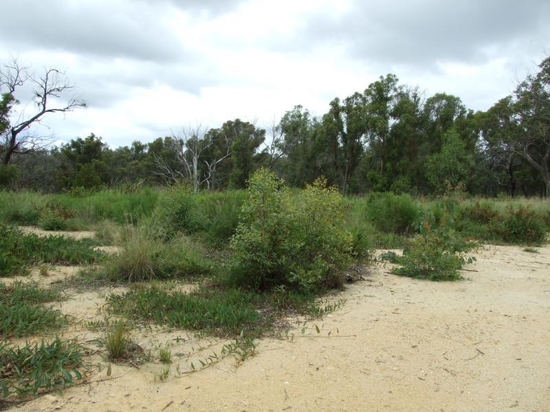Lot 1 Rosedale Lane, Angledale NSW 2550