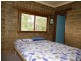 455 Dorrigo Road, Brogo NSW 2550