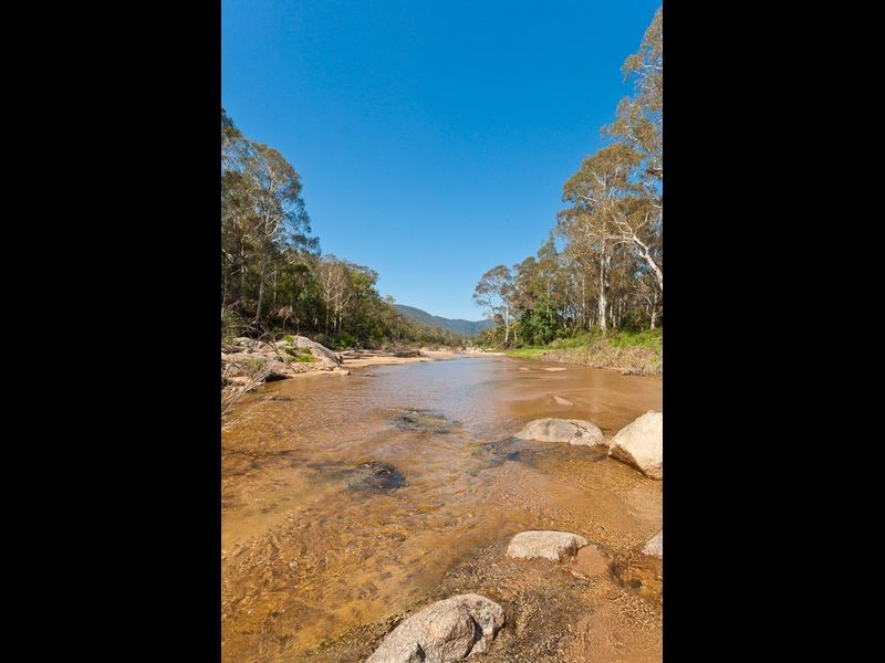 685 Tantawanglo Lane, Candelo NSW 2550