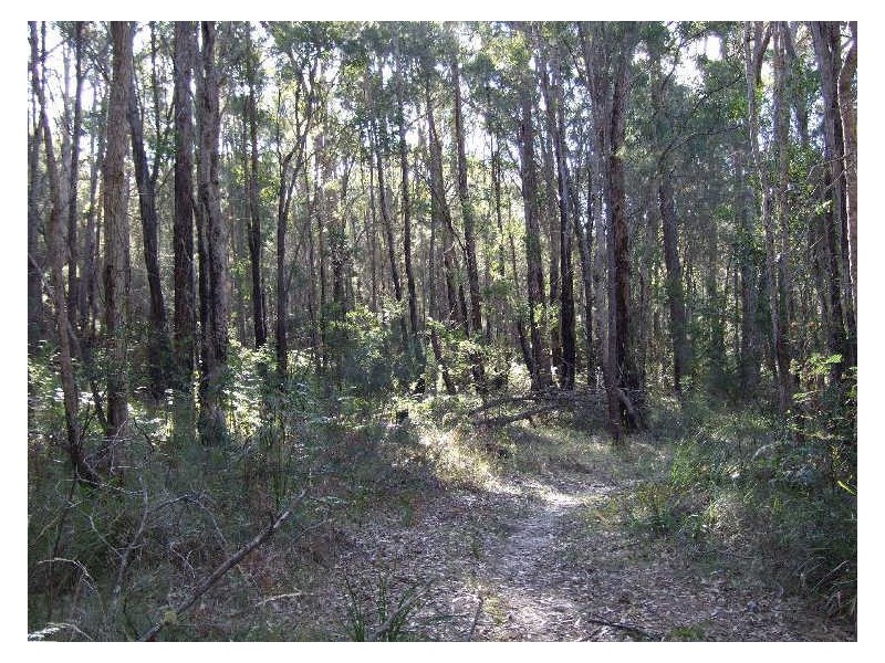 Lot 174 Strathmore Crescent, Kalaru NSW 2550