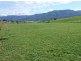 Bemboka NSW 2550