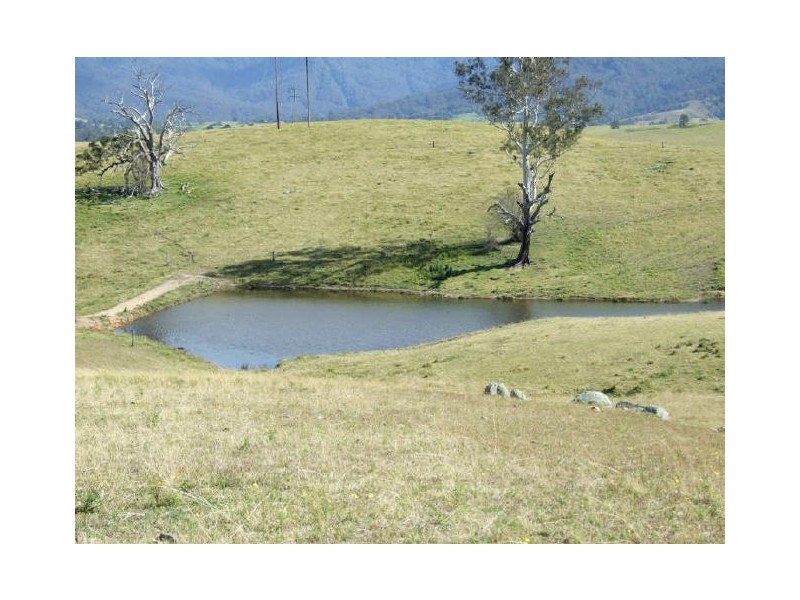 Bemboka NSW 2550