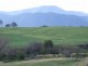 Bemboka NSW 2550