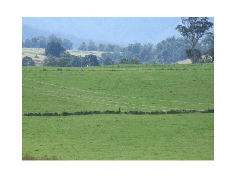 Bemboka NSW 2550