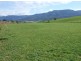 ‘Fairview Nobby Park Road, Bemboka NSW 2550