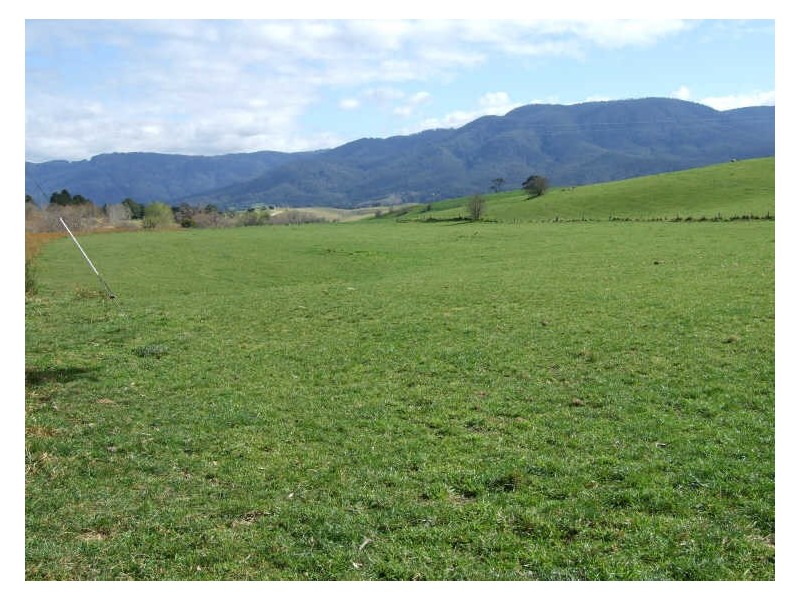 ‘Fairview Nobby Park Road, Bemboka NSW 2550