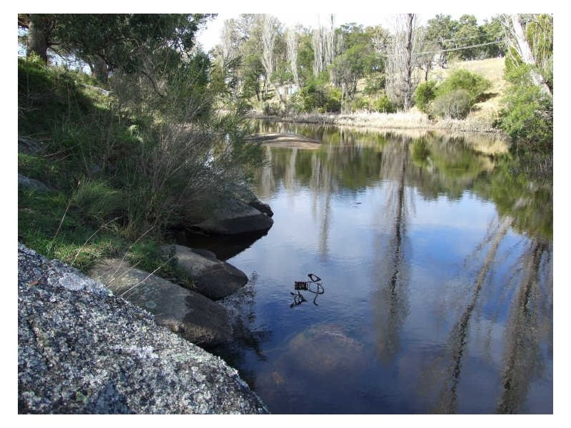 ‘Fairview Nobby Park Road, Bemboka NSW 2550