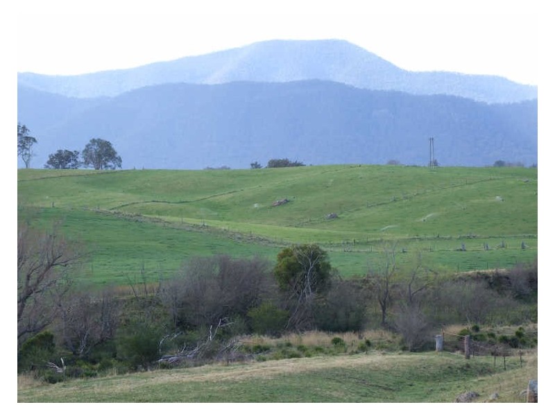 ‘Fairview Nobby Park Road, Bemboka NSW 2550