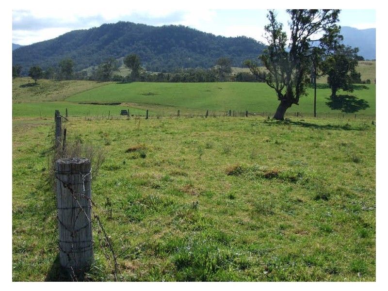 ‘Fairview Nobby Park Road, Bemboka NSW 2550