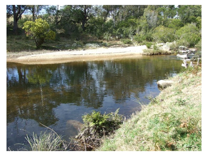 ‘Fairview Nobby Park Road, Bemboka NSW 2550
