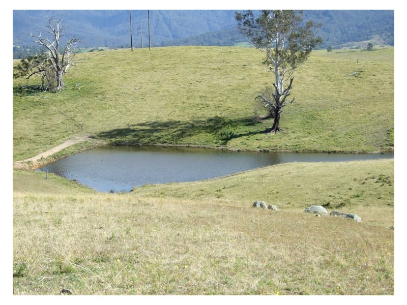 ‘Fairview Nobby Park Road, Bemboka NSW 2550