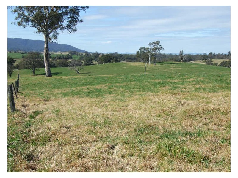 ‘Fairview Nobby Park Road, Bemboka NSW 2550