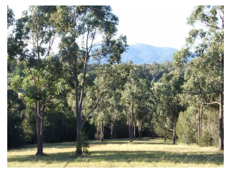 Lot 9 Rileys Road, Bermagui NSW 2546