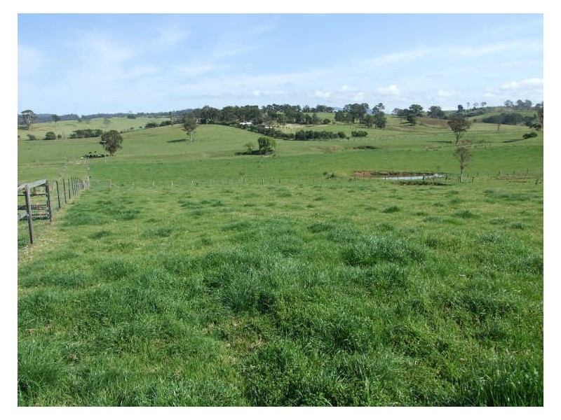 1337 Barrabooka Road, Tathra NSW 2550