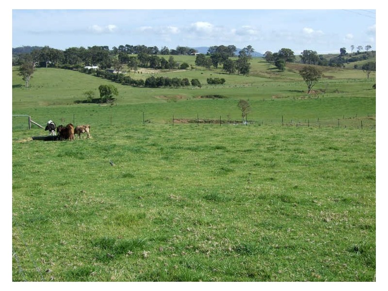 1337 Barrabooka Road, Tathra NSW 2550