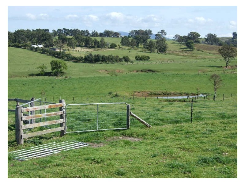 1337 Barrabooka Road, Tathra NSW 2550