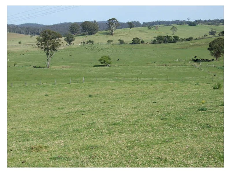 1337 Barrabooka Road, Tathra NSW 2550