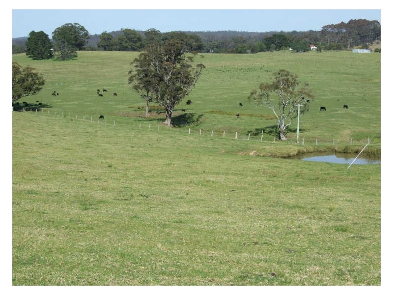 1337 Barrabooka Road, Tathra NSW 2550