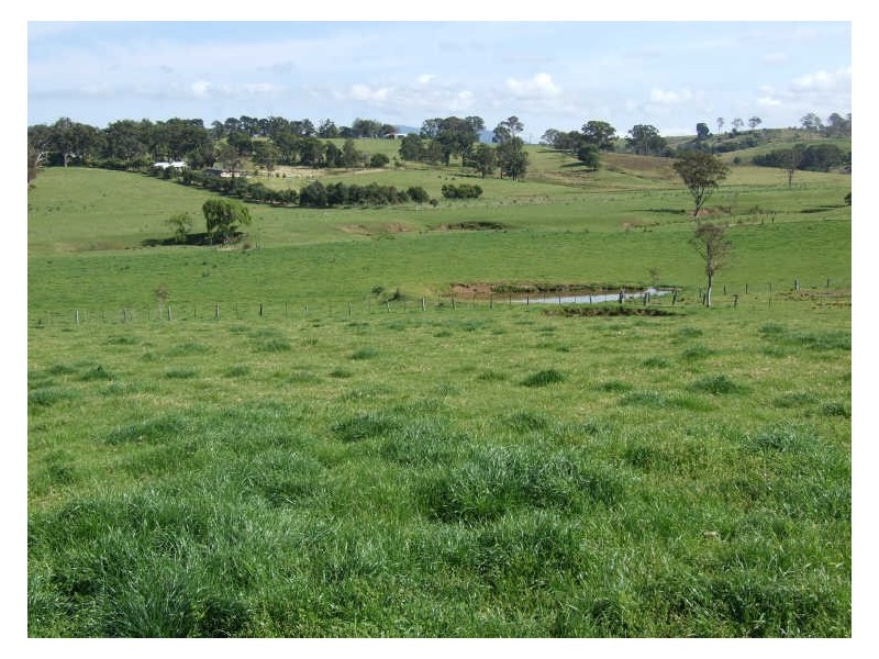 1337 Barrabooka Road, Tathra NSW 2550