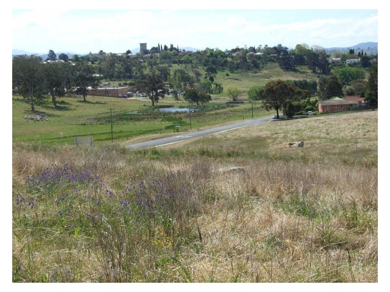 Lot 510 Glen Mia Drive, Bega NSW 2550