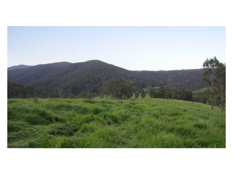 Lot 3 off Hawkes Head Road, Brogo NSW 2550