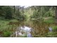 Lot 3 off Hawkes Head Road, Brogo NSW 2550