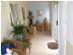 Bega NSW 2550